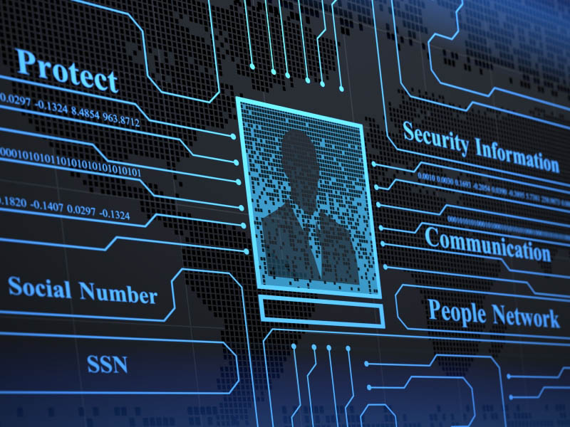 Kitshoff Consulting Background Checks